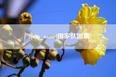 酒泉国家队图案