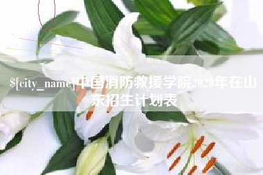 酒泉中国消防救援学院2020年在山东招生计划表