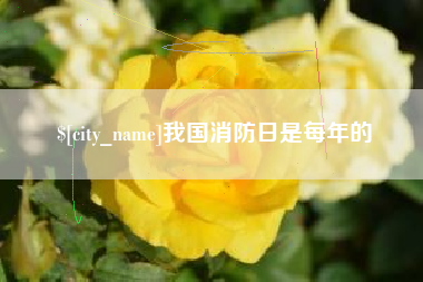 酒泉我国消防日是每年的