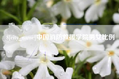 酒泉中国消防救援学院男女比例