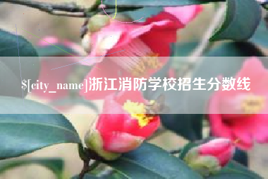 酒泉浙江消防学校招生分数线