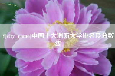 酒泉中国十大消防大学排名及分数线