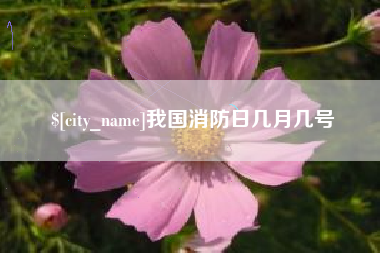 酒泉我国消防日几月几号