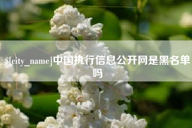 酒泉中国执行信息公开网是黑名单吗