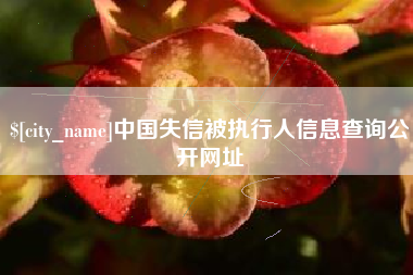 酒泉中国失信被执行人信息查询公开网址