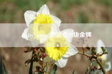 酒泉奥运会39块金牌