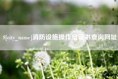 酒泉消防设施操作员证书查询网址