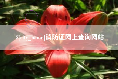 酒泉消防证网上查询网站
