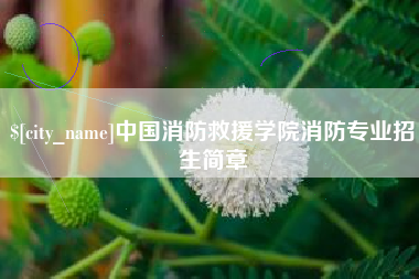 酒泉中国消防救援学院消防专业招生简章