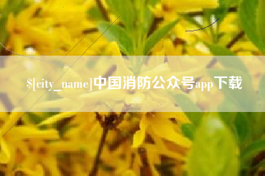 酒泉中国消防公众号app下载
