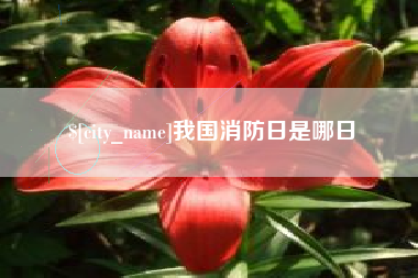 酒泉我国消防日是哪日