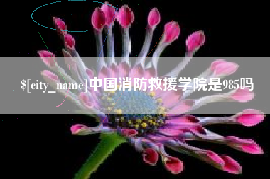 酒泉中国消防救援学院是985吗