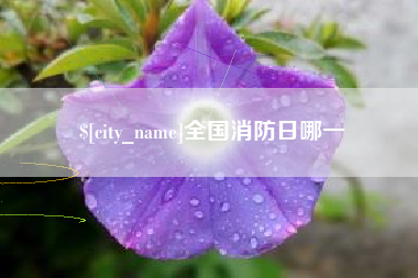 酒泉全国消防日哪一