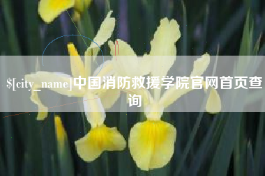 酒泉中国消防救援学院官网首页查询