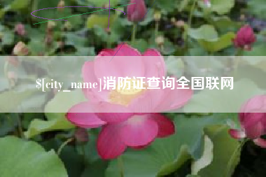 酒泉消防证查询全国联网