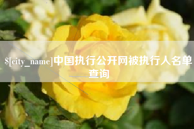 酒泉中国执行公开网被执行人名单查询