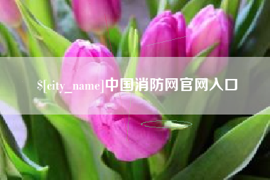 酒泉中国消防网官网入口