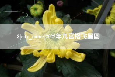 酒泉2022年九宫格飞星图