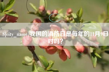 酒泉我国的消防日是每年的11月9日对吗？