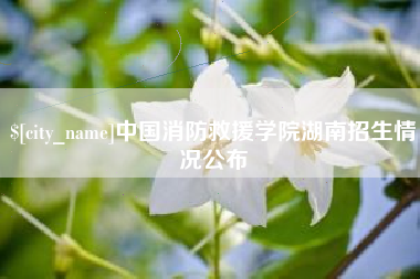 酒泉中国消防救援学院湖南招生情况公布