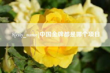 酒泉中国金牌都是哪个项目