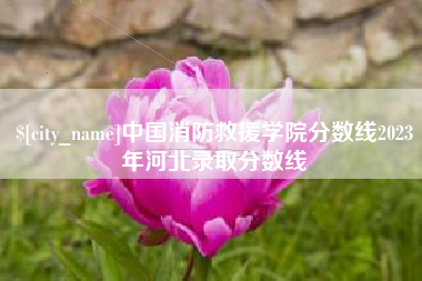 酒泉中国消防救援学院分数线2023年河北录取分数线
