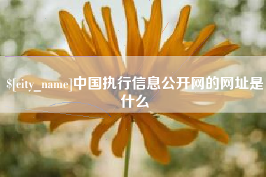 酒泉中国执行信息公开网的网址是什么