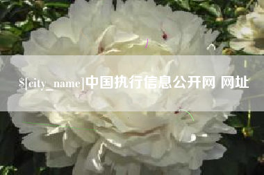 酒泉中国执行信息公开网 网址