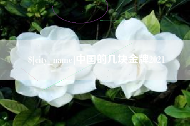 酒泉中国的几块金牌2021