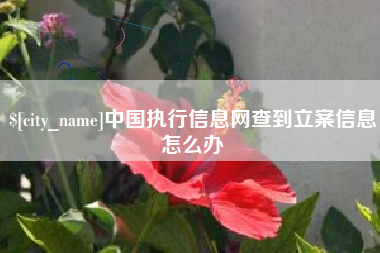 酒泉中国执行信息网查到立案信息怎么办