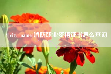 酒泉消防职业资格证书怎么查询