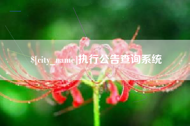 酒泉执行公告查询系统