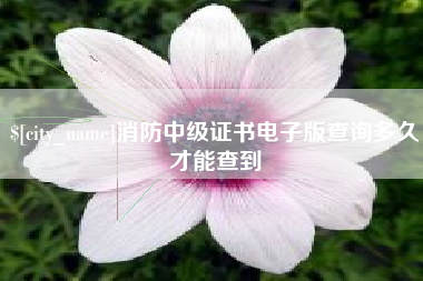 酒泉消防中级证书电子版查询多久才能查到