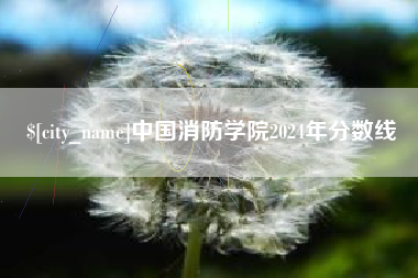 酒泉中国消防学院2024年分数线
