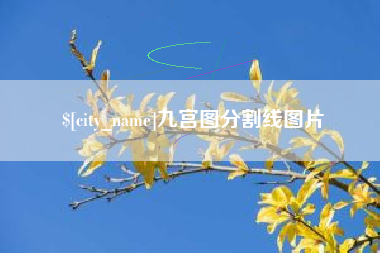 酒泉九宫图分割线图片
