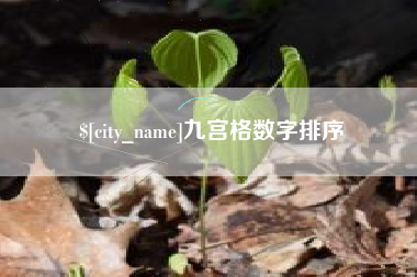 酒泉九宫格数字排序