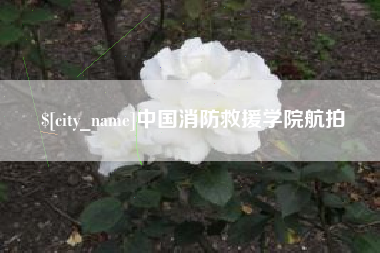 酒泉中国消防救援学院航拍