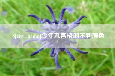 酒泉今年九宫格的不利颜色