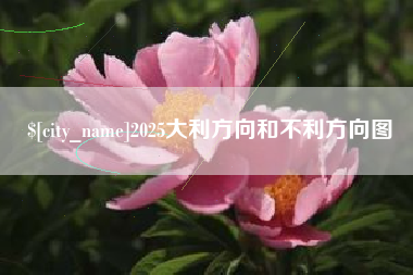 酒泉2025大利方向和不利方向图