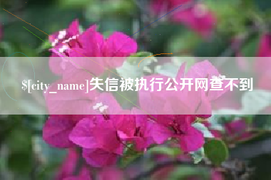 酒泉失信被执行公开网查不到