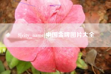 酒泉中国金牌图片大全