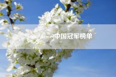 酒泉中国冠军榜单