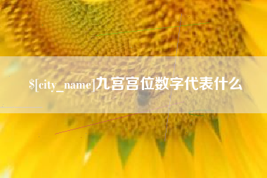 酒泉九宫宫位数字代表什么