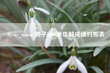 酒泉男子5000米年龄成绩对照表