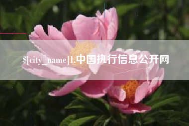 酒泉1.中国执行信息公开网