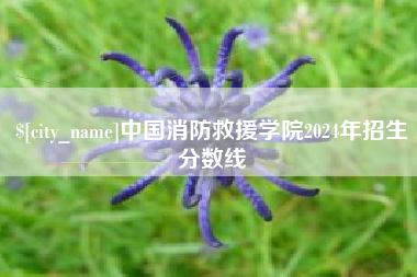 酒泉中国消防救援学院2024年招生分数线