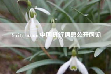 酒泉中国执行信息公开网询