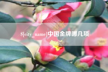 酒泉中国金牌哪几项