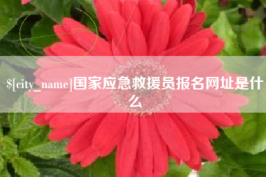 酒泉国家应急救援员报名网址是什么