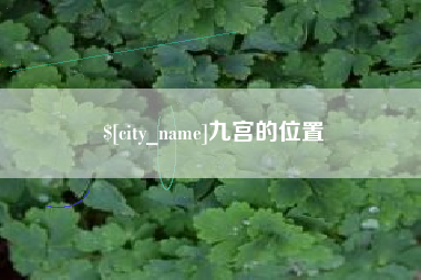 酒泉九宫的位置